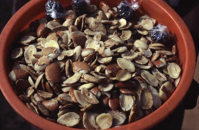 Irvingia Gabonensis